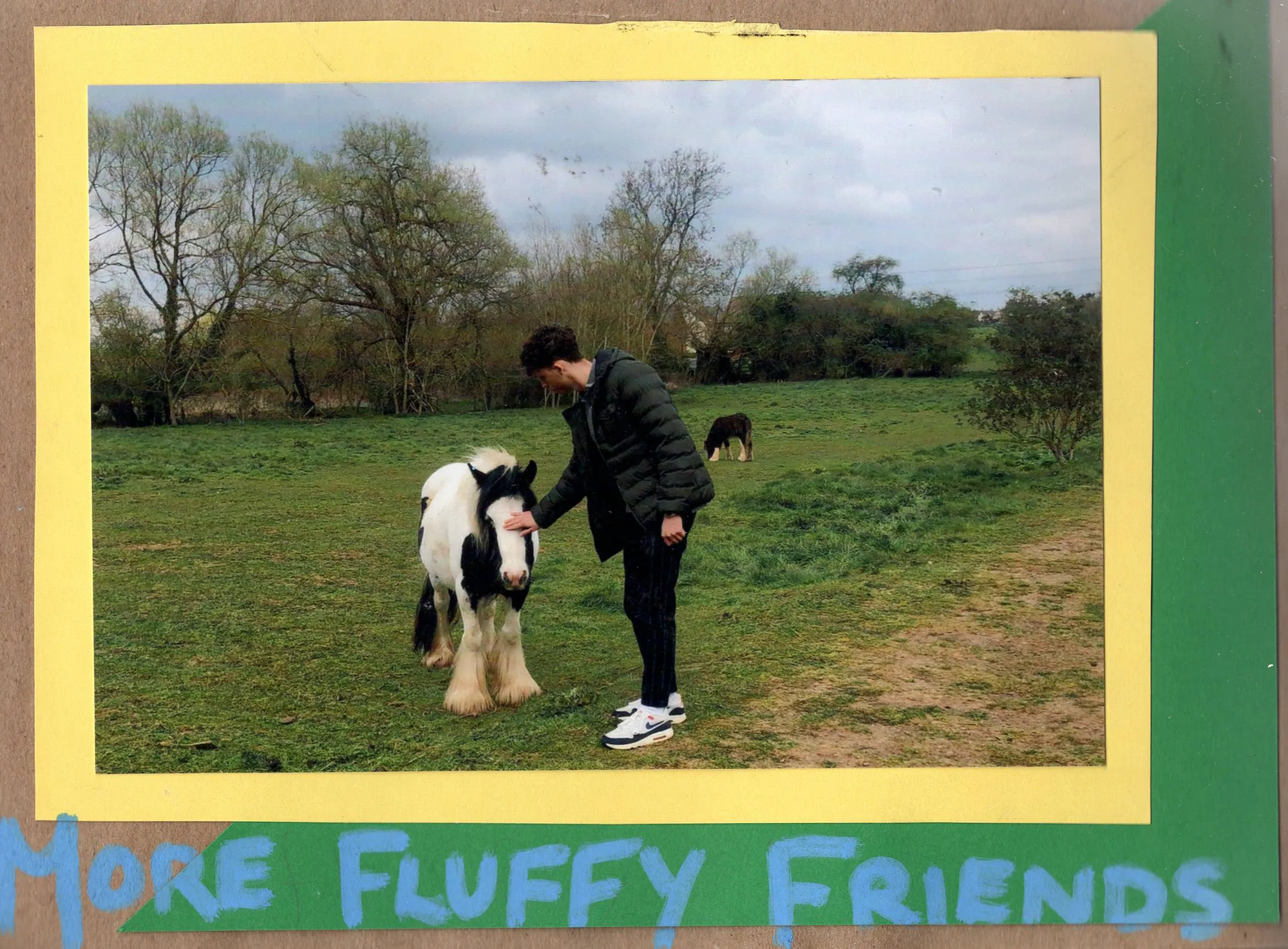 More Fluffy Friends