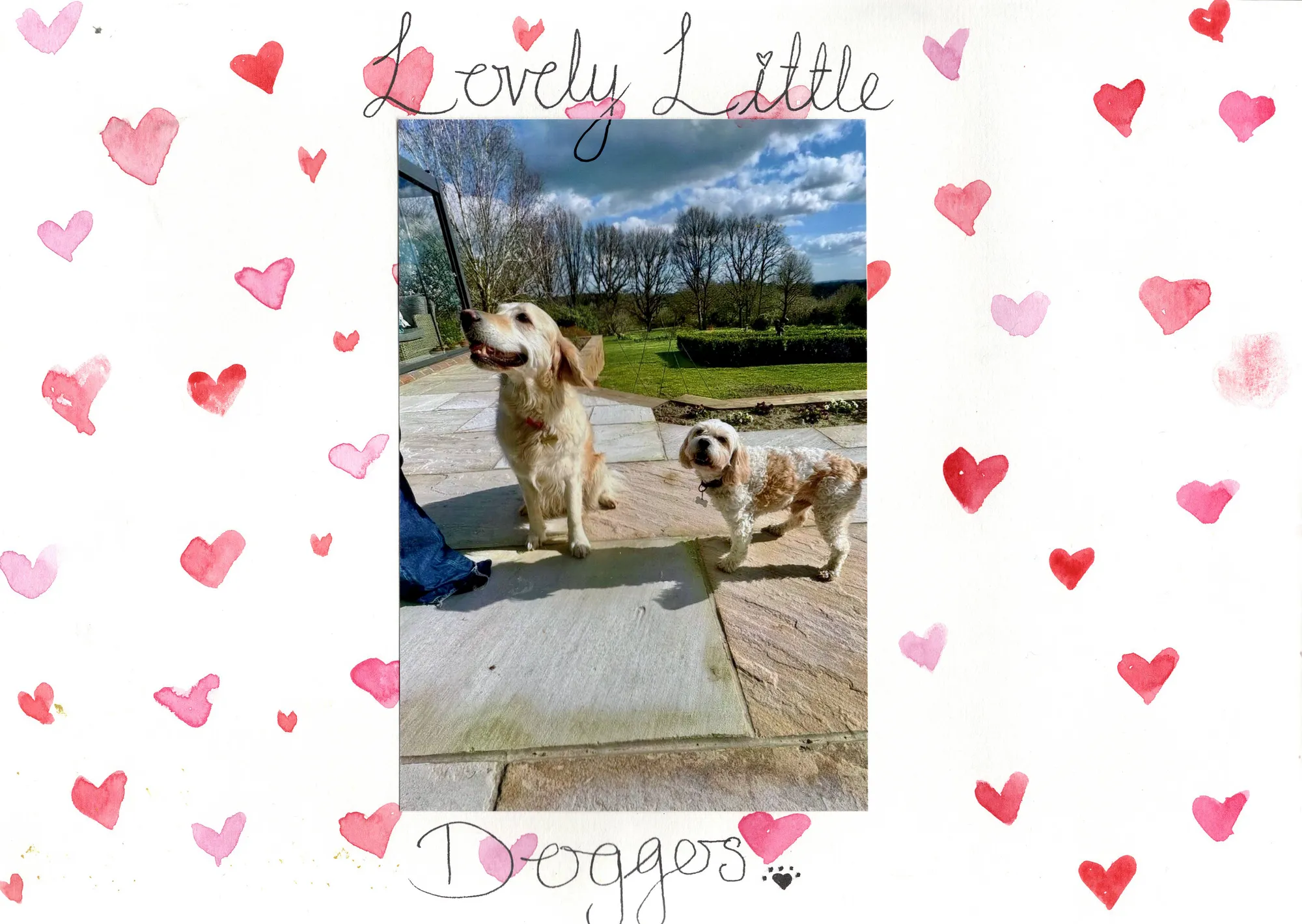 Lovely Little Doggers