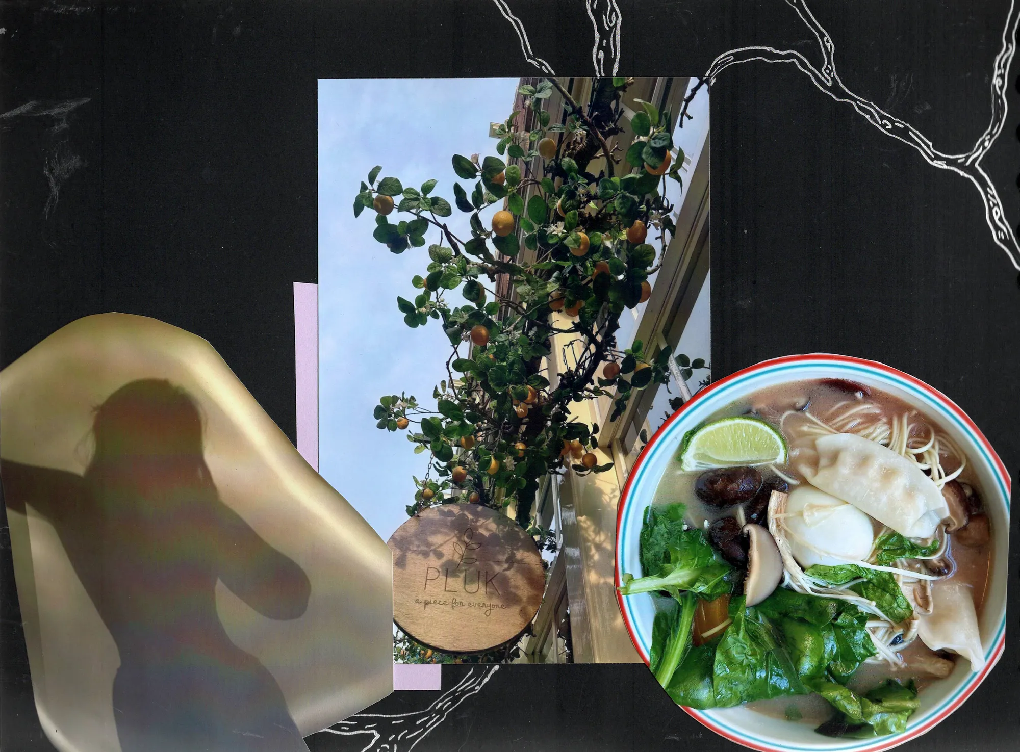 Dumpling ramen