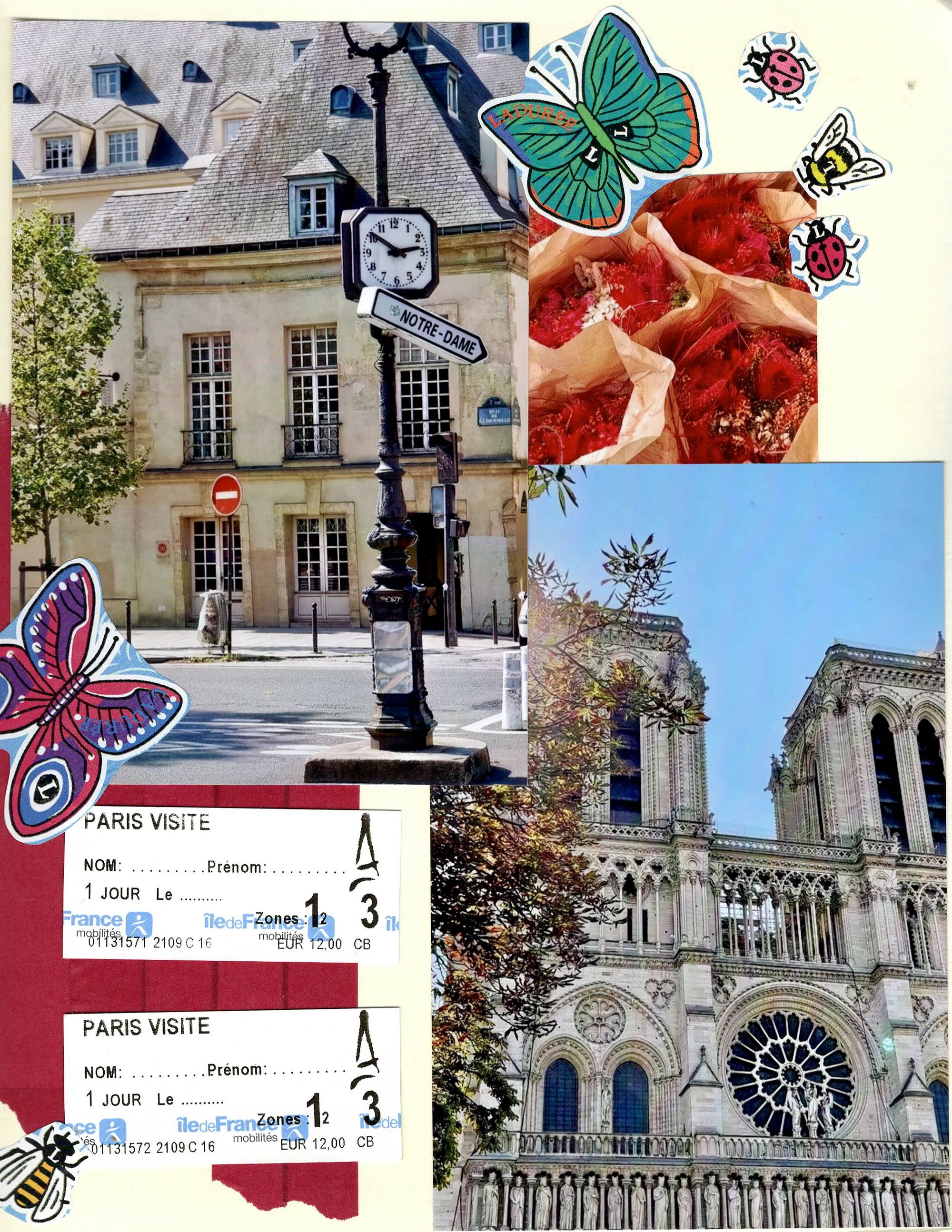 Notre-Dame