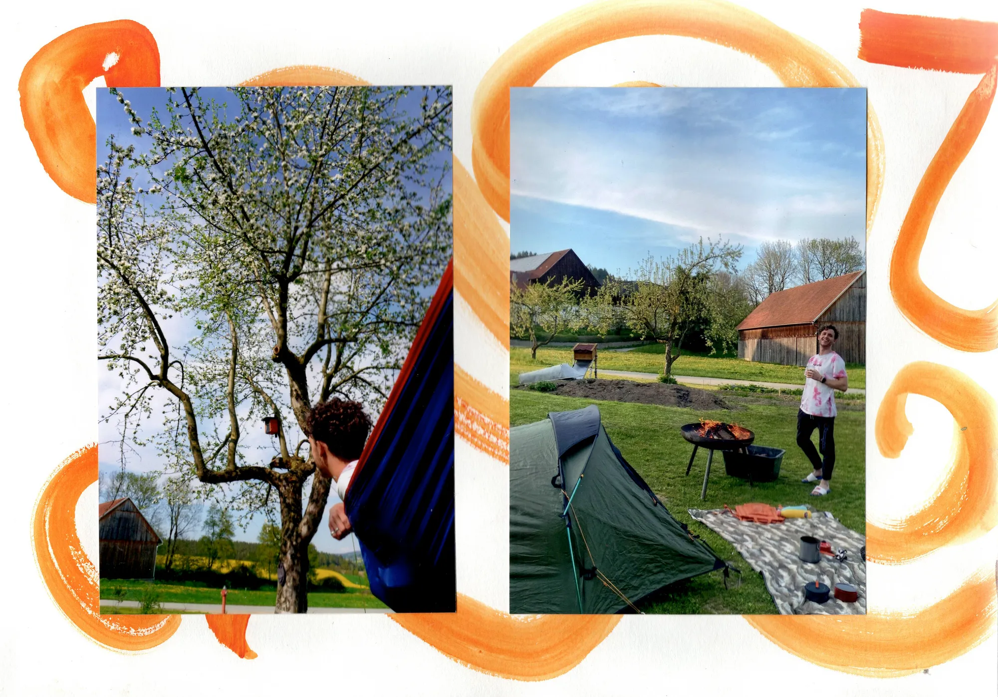 Orchard camping
