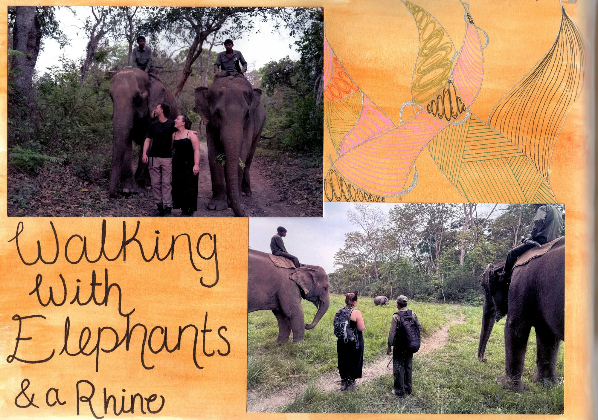 Walking with elephants & a rhino