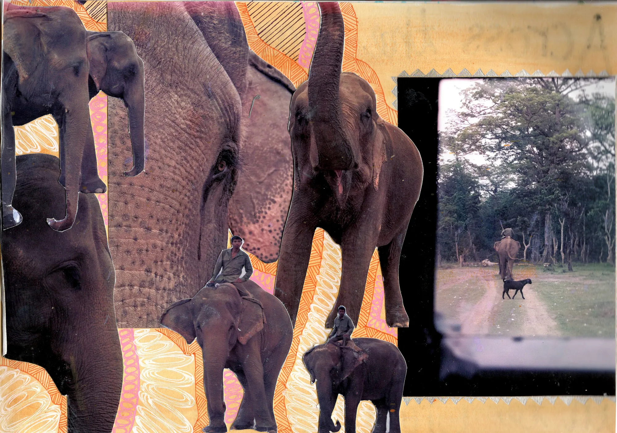 Mahouts & elephants