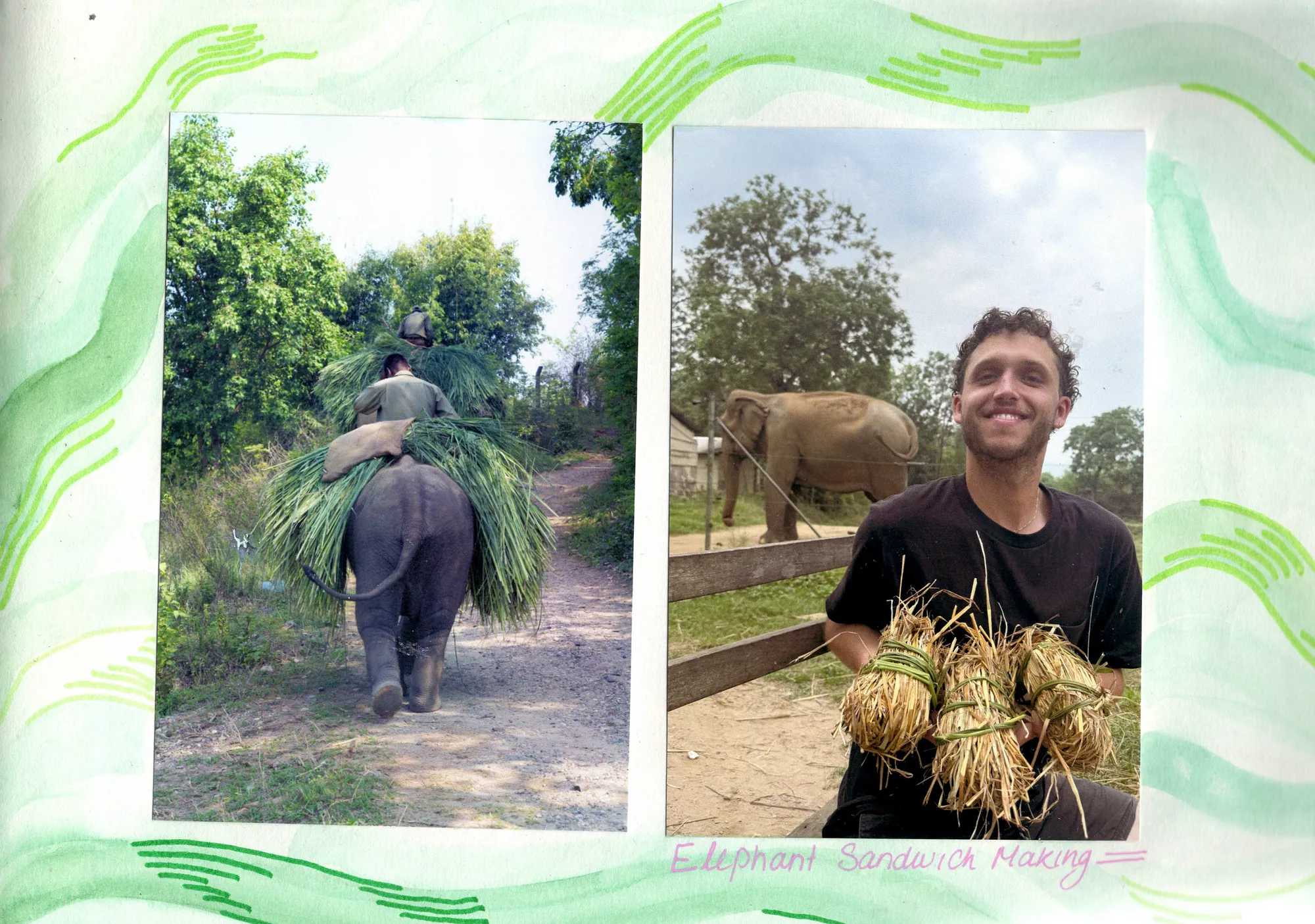 Elephant Sandwich Making