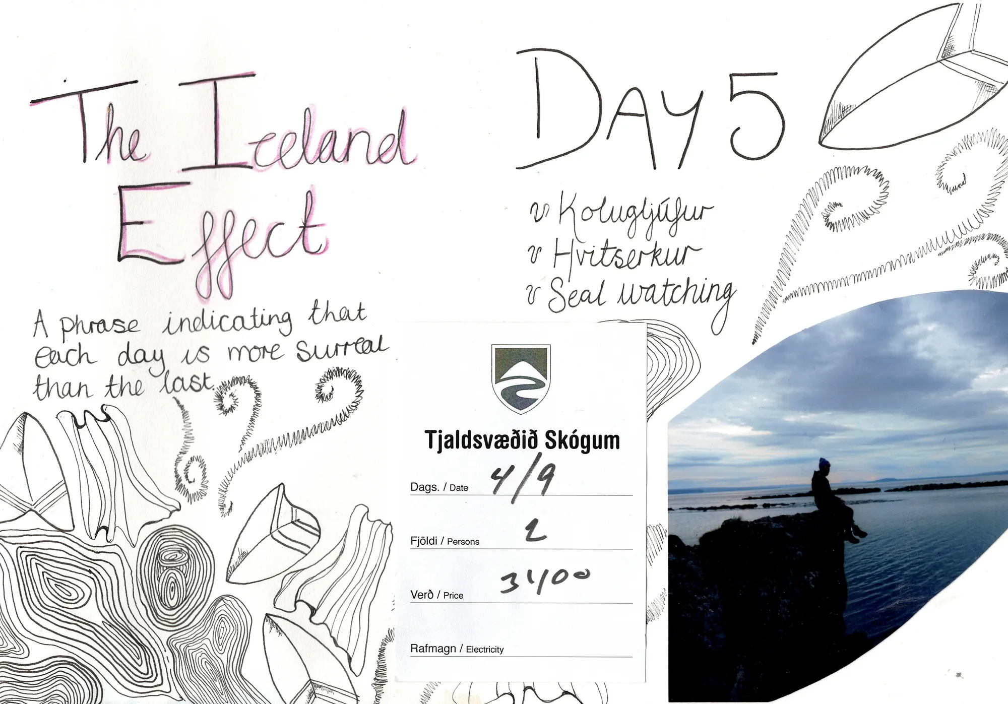 The Iceland Effect