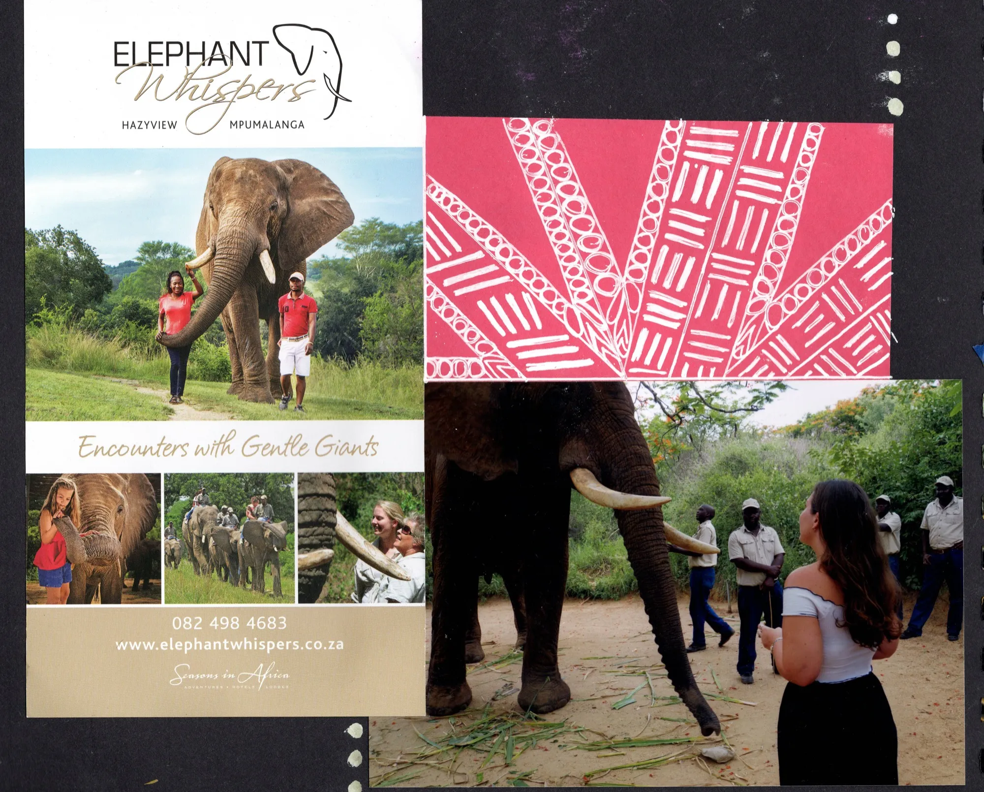 Elephant Whispers, South Africa