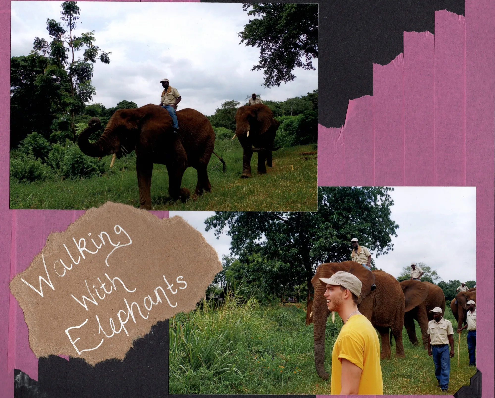 Walking with Elephants, South Africa