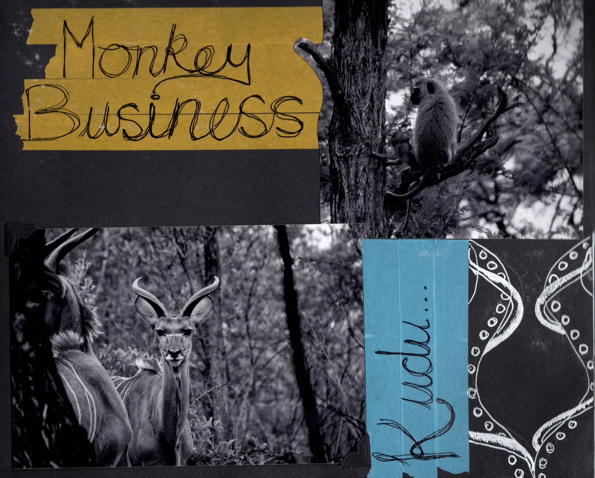 Monkey Business