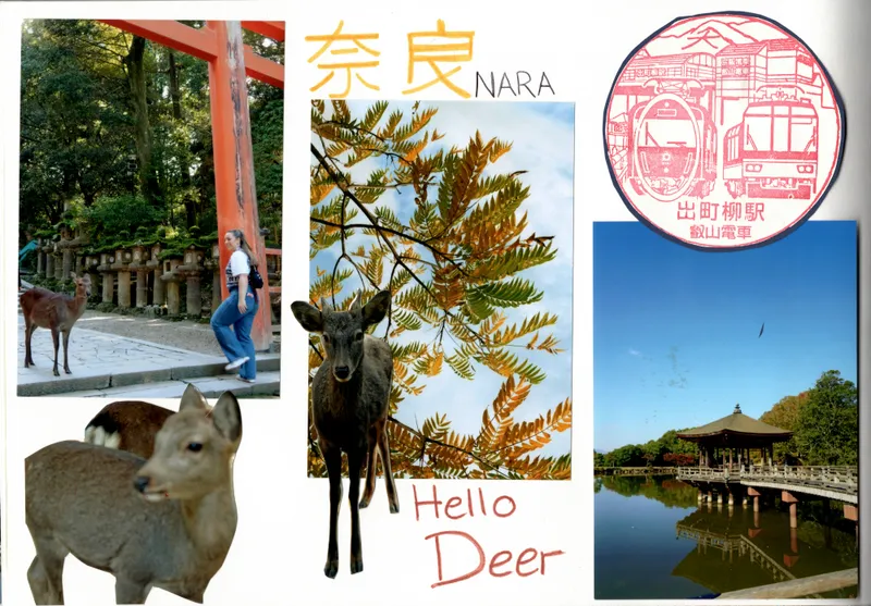 Hello Deer, Nara, Japan