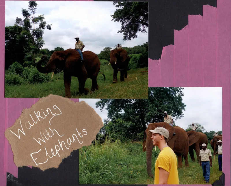 Walking with Elephants, South Africa