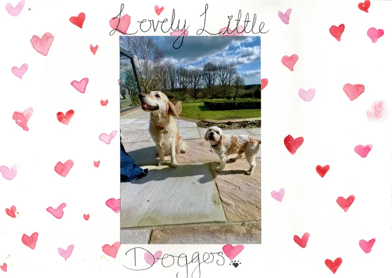 Lovely Little Doggers